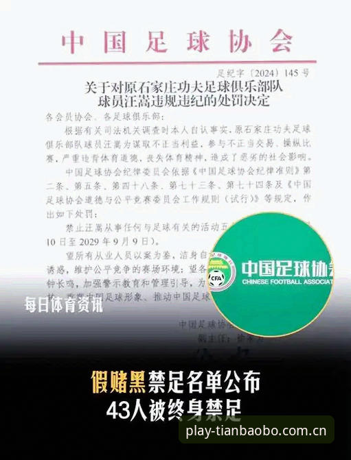 中国足协第三批禁足名单全面解析：天宝博体育官网视角下的行业整顿深度分析